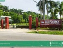 QUÍ LONG TRIỂN KHAI DỰ ÁN MEDIPLANTEX